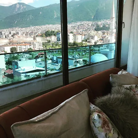 Mountains View Apartment