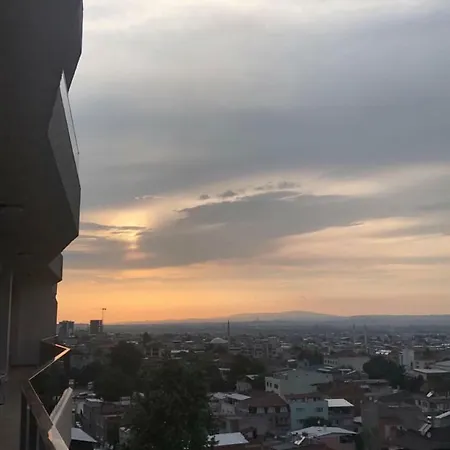 Mountains View *
