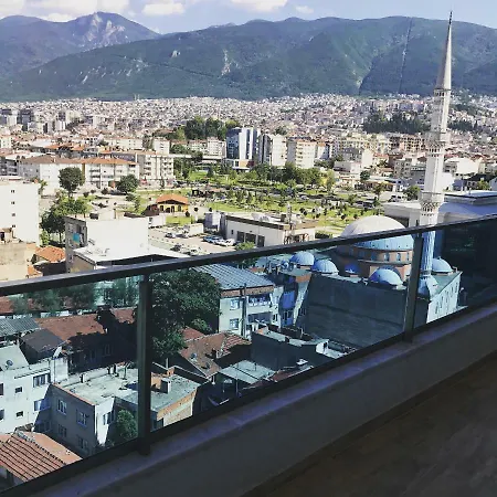Mountains View *